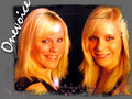 Thumbnail for version as of 02:49, 6 December 2018